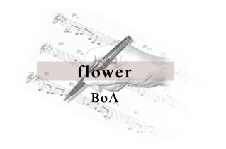 flower BoA