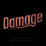 Damage