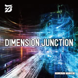 DIMENSION JUNCTION