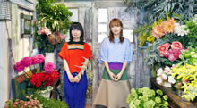 新曲「majority blues」が、医療系専門学校CMソングに決定！