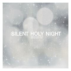 思い出になる前に -Silent Holy Night-