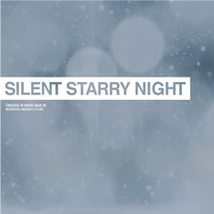 思い出になる前に -Silent Starry Night-