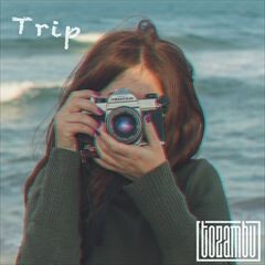 Trip