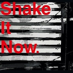 Shake It Now.(feat. Ado)