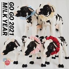 君の知らない世界へ