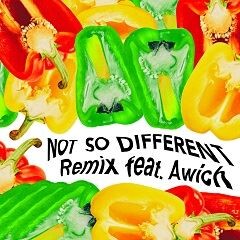 Not So Different Remix feat. Awich