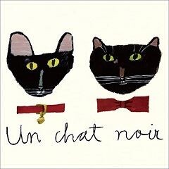 Un chat noir