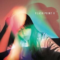 FLASH POINT II