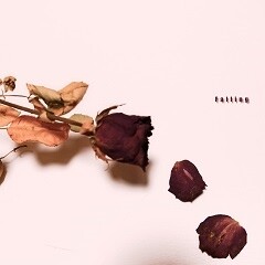 Falling
