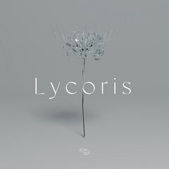 Lycoris