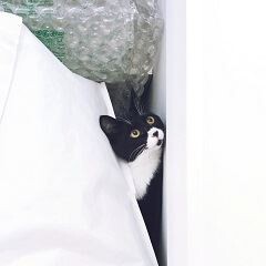すきま