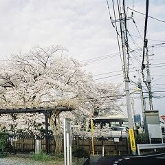 遺書 / 澤田空海理