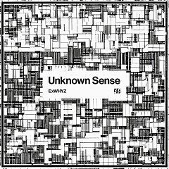 Unknown Sense