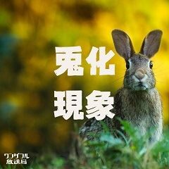 兎化現象