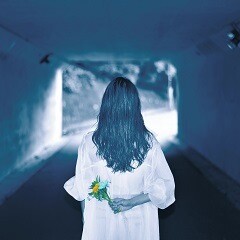 幻だった