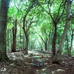 旅立日記