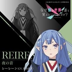 夜の音