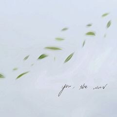 you, the wind