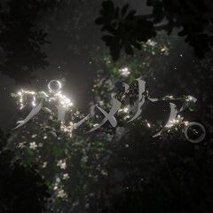 プルメリア。