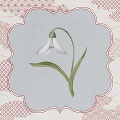 死が僕らに恋してる
