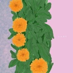 こんなに