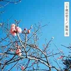 二十歳の君よ