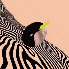 Inner Trip