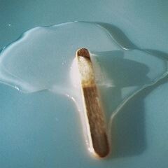ice