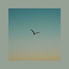New Dawn