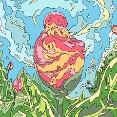 蕾