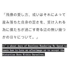 残像の愛し方