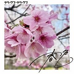 春色