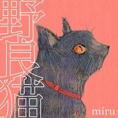 野良猫