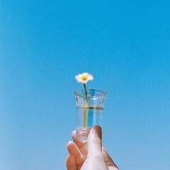 デイジー