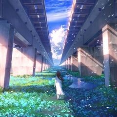 沁み込む