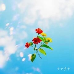 ランタナ