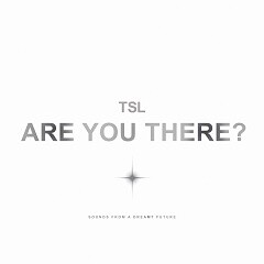 Are You There? (feat. 凪希 from HAGANE)