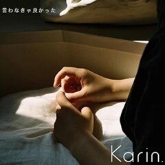 言わなきゃ良かった / Karin.