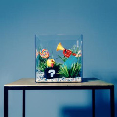 aquarium