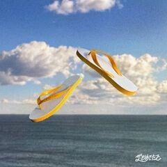 Flip Flops