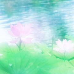 岸辺の花