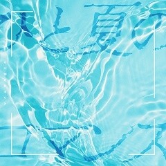 ひと夏のロマンス