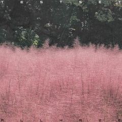 Vapour Cream