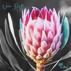 New Birth