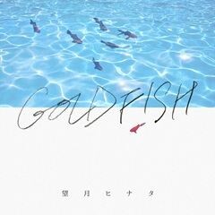 Goldfish / 望月ヒナタ