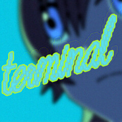 Terminal