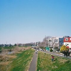 わたしのねがい