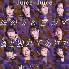 四の五の言わず颯と別れてあげた