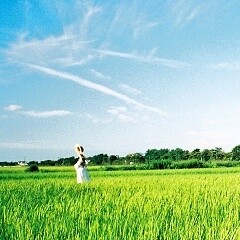 エンドレスサマー
