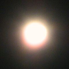 Dancing In The Moonlight